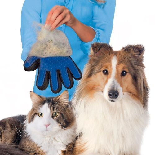 Dog Grooming Glove Free Postage