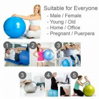 Pregnancy Birthing Ball Swiss Abs Ninja Anti Burst Gym Ball 65cm Pilates PVC Free Postage